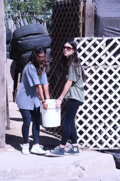 DSC_2038 (Large).JPG